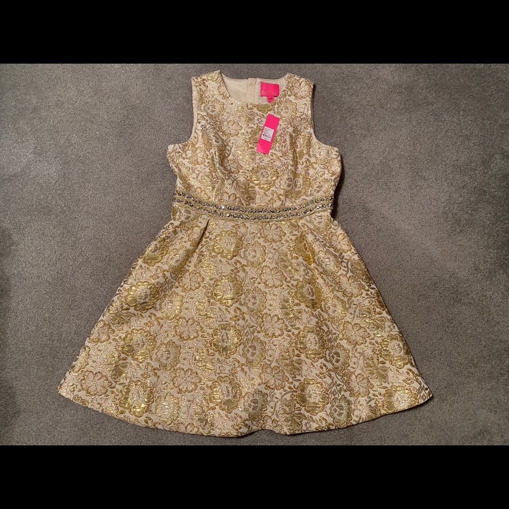 NWT Lilly Pulitzer Levy dress